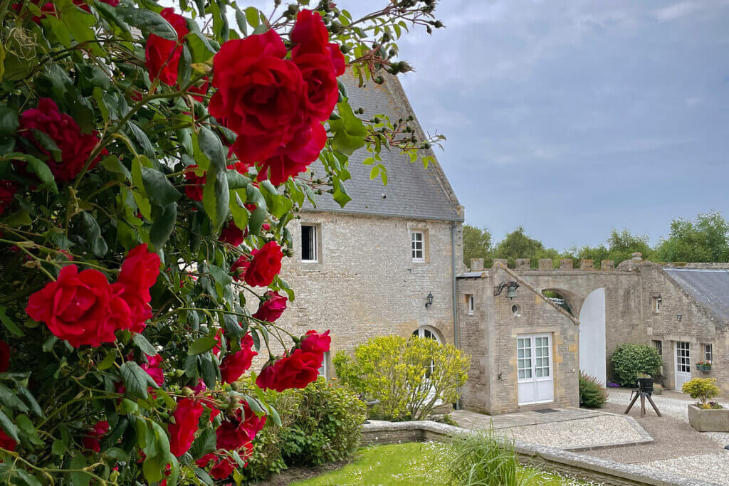 Roses en fleurs aux printemps à l'hotel de charme Ferme de la Ranconniere en Normandie